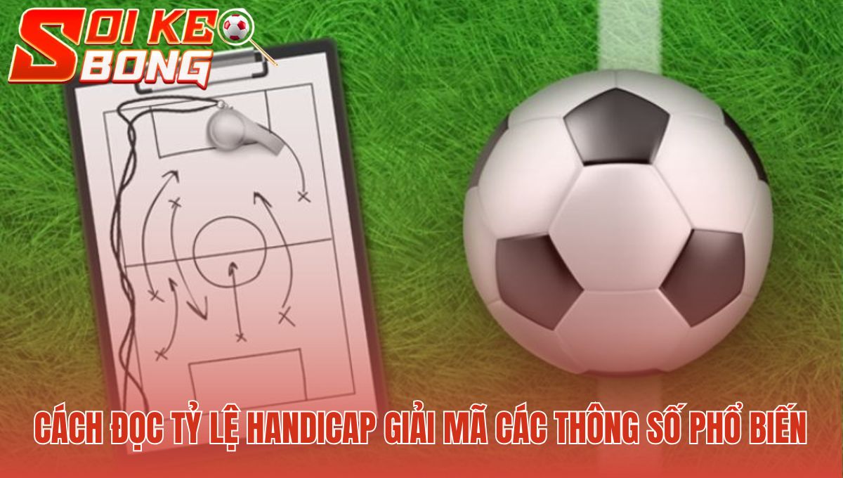 Đọc thông số handicap giải mã các con số nhường bàn quan trọng