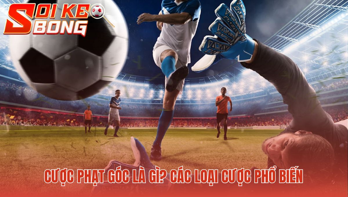 Cược phạt góc bao gồm bốn loại kèo phổ biến nhất