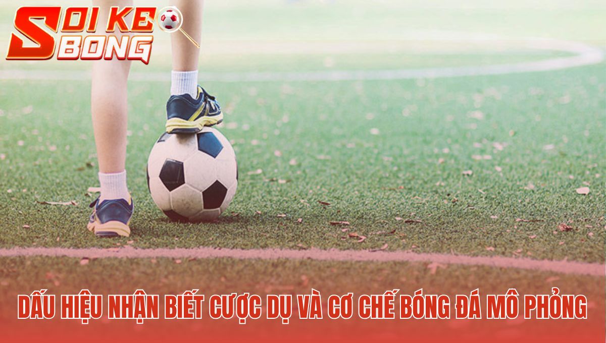 Nhận biết kèo ảo qua biến động tỷ lệ cược và thuật toán RNG