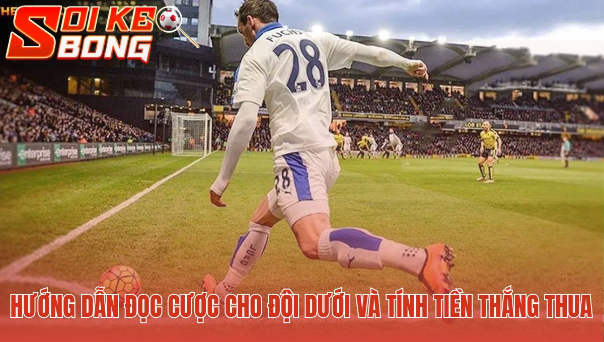 Đọc cược đội dưới qua ví dụ tính tiền thắng thua thực tế