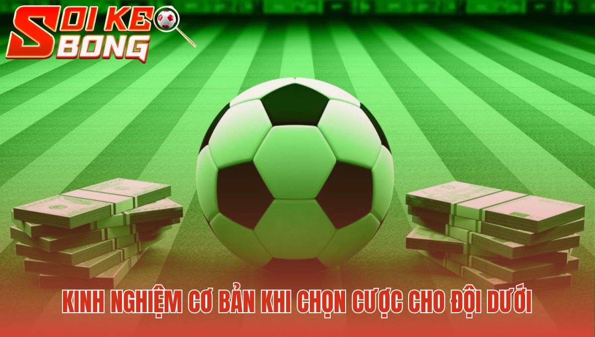 Kèo dưới là gì? Yêu cầu phân tích phong độ và đội hình