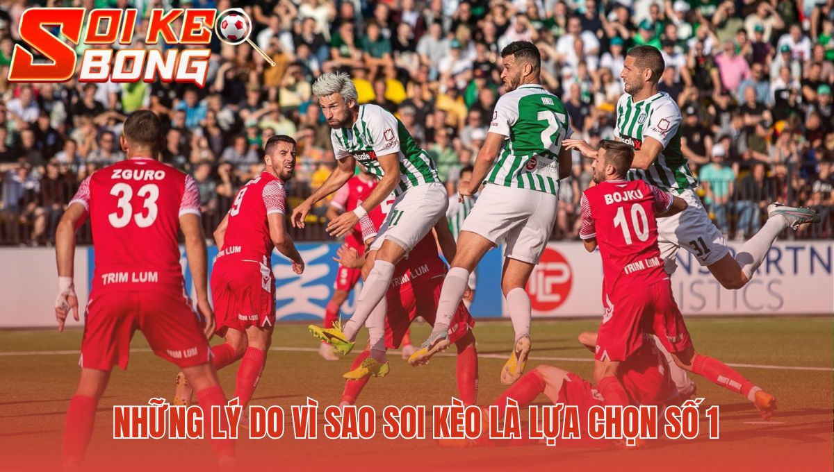 Lý do vì sao nên chọn Soi Kèo để tìm hiểu các trận đấu