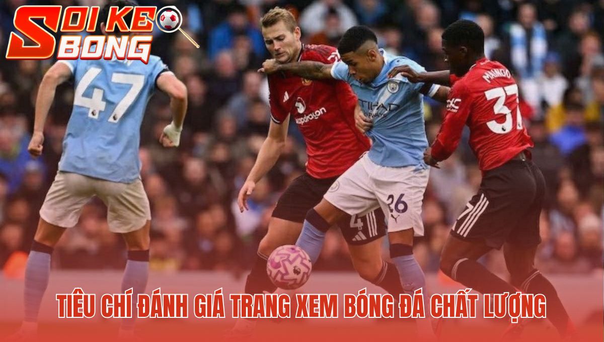 Trang Xem Bóng Đá Chất Lượng 2025 | Top 10 Link Soi Kèo Bóng 2 Yếu tố xác định một trang xem bóng đá chất lượng