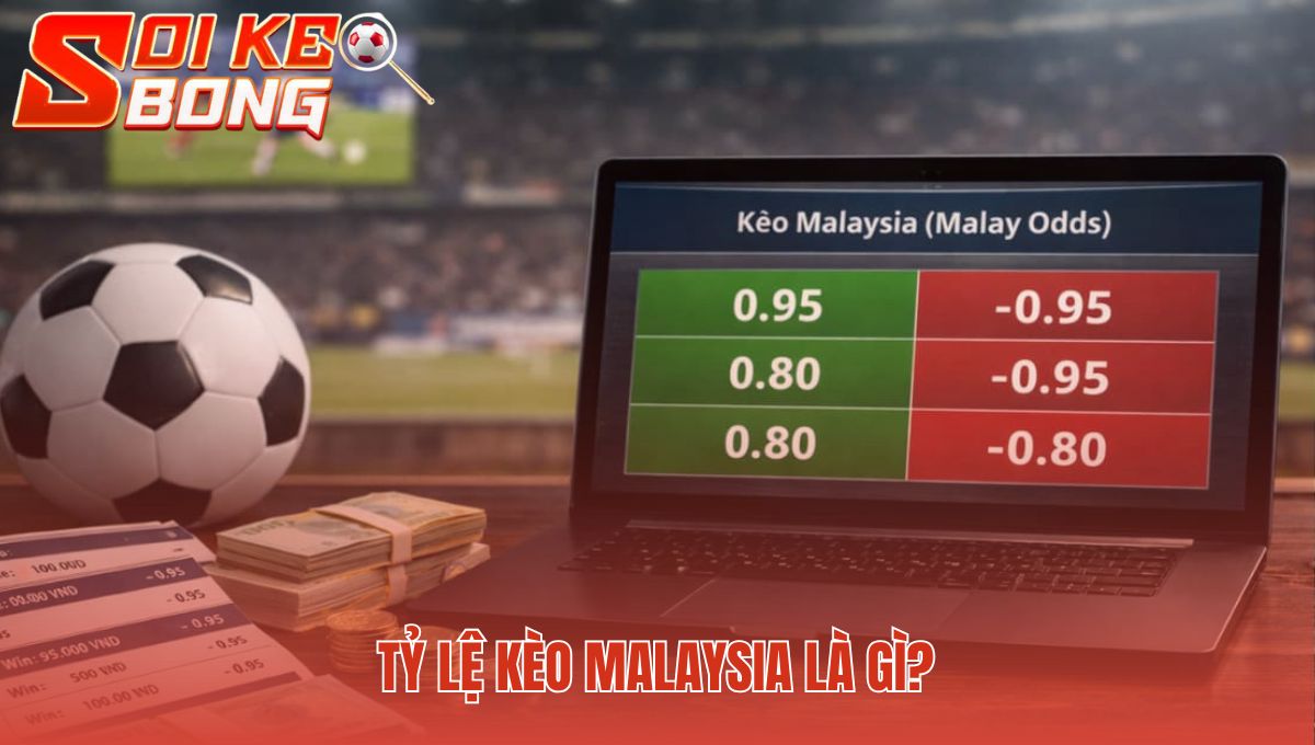 Tỷ lệ kèo Malaysia là gì phản ánh rủi ro qua các con số âm dương