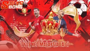 Tỷ Lệ Kèo Malaysia Là Gì