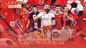 Xem Tỷ Số Bóng Đá 7m
