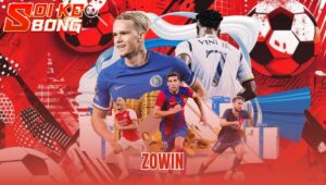 Zowin
