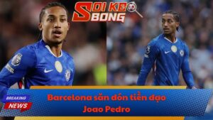 Barcelona săn đón tiền đạo Joao Pedro
