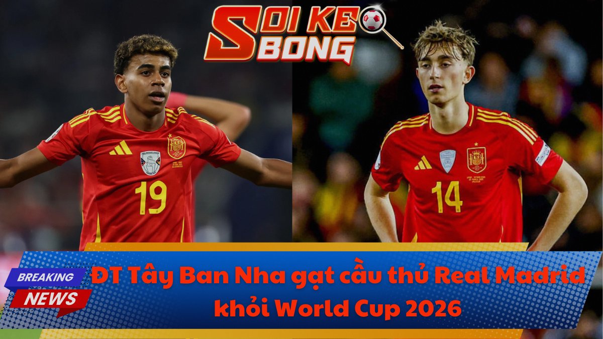 ĐT Tây Ban Nha gạt Real Madrid khỏi World Cup 2026
