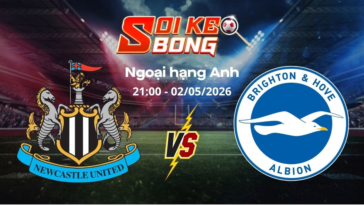 Soi kèo Newcastle vs Brighton ngày 02/05 | Ngoại hạng Anh
