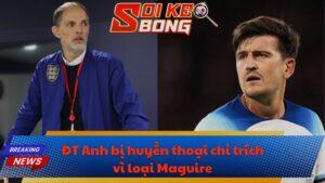 ĐT Anh bị huyền thoại chỉ trích vì loại Maguire