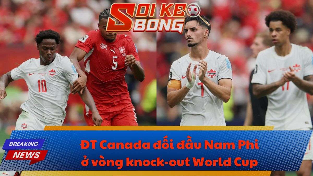 ĐT Canada đối đầu Nam Phi ở vòng knock-out World Cup