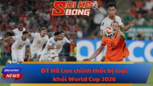 ĐT Hà Lan chính thức bị loại khỏi World Cup 2026