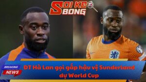ĐT Hà Lan gọi gấp hậu vệ Sunderland dự World Cup