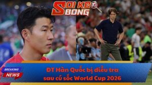 ĐT Hàn Quốc bị điều tra sau cú sốc World Cup 2026