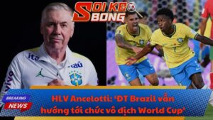 HLV Ancelotti: ‘ĐT Brazil vẫn hướng tới chức vô địch World Cup’