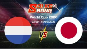 Soi kèo Hà Lan vs Nhật Bản ngày 15/06 | World Cup 2026